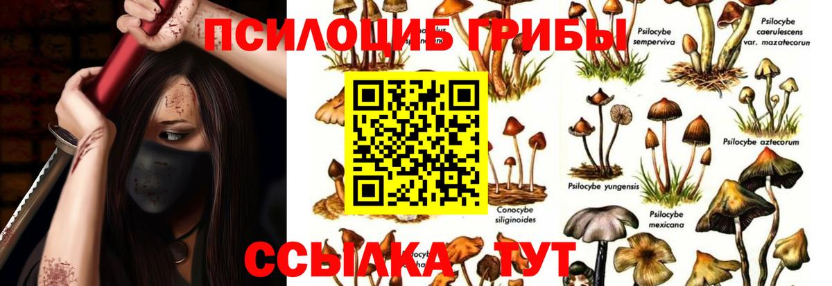 Галлюциногенные грибы мицелий Сердобск